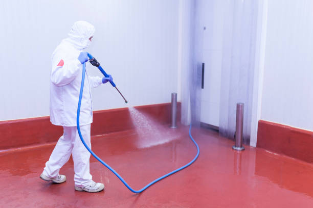 Best Sidewalk and Walkway Cleaning  in Indian Hills, TX